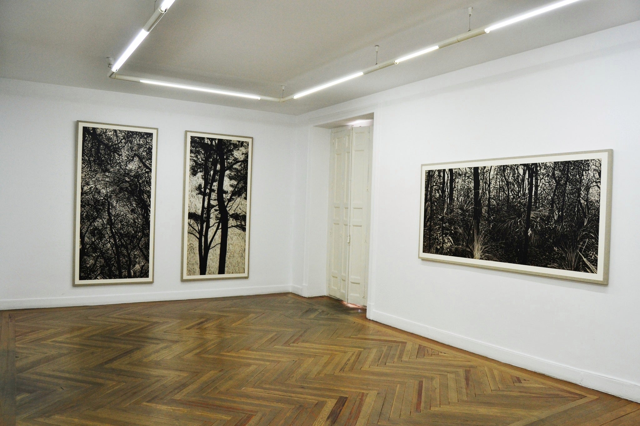 Galería La Caja Negra