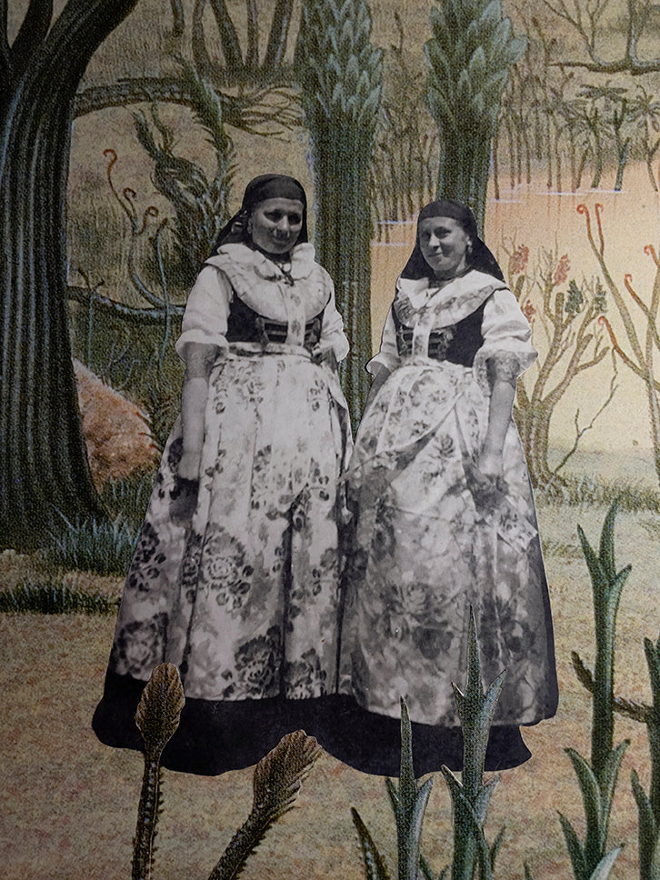 S/T (de la serie Barbórka)