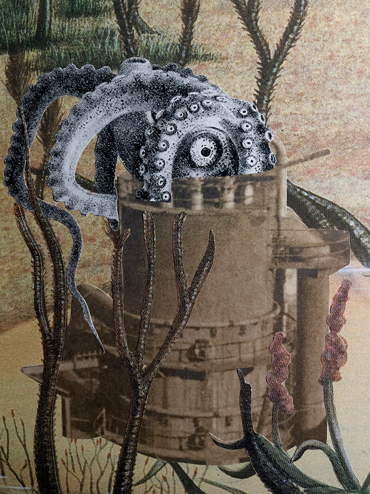 S/T (de la serie Barbórka)