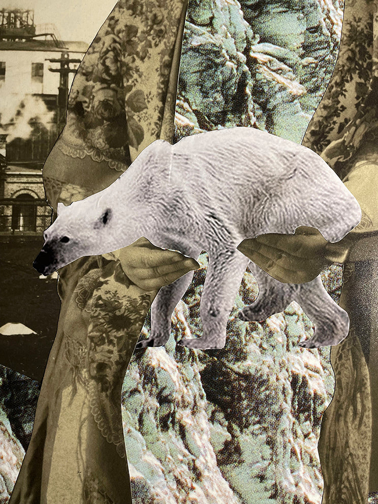 S/T (de la serie Barbórka)
