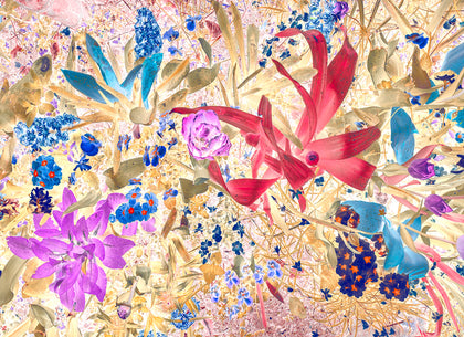 Exposition image