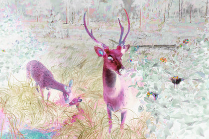 Exposition image